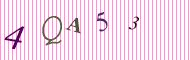 CAPTCHA code